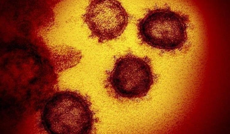 Caso de paciente contaminada duas vezes pelo coronavírus em SC é investigado