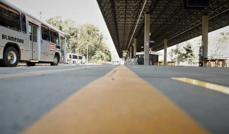 Volta dos ônibus em Blumenau: veja os novos horários das linhas