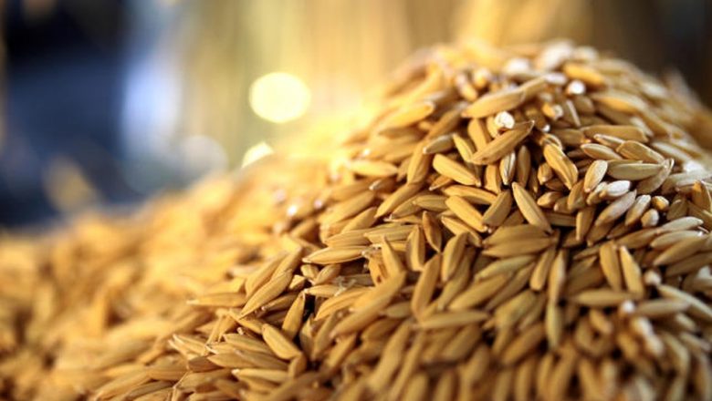Veja quais países lideram a venda e a compra de arroz do Brasil