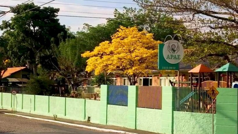 Apae Indaial completa 50 anos de atuação