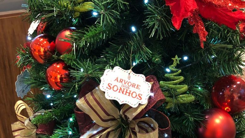Árvore dos Sonhos: Neumarkt Shopping, Norte Shopping e Instituto Guga Kuerten irão beneficiar mais de 100 crianças neste Natal
