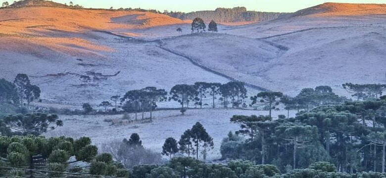 SC amanhece com frio extremo de -8,9 °C e abaixo de zero em todas as regiões; veja fotos