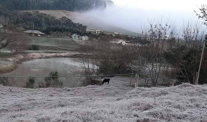 Geada e -2,7°C marcam dia mais frio do ano no Vale do Itajaí