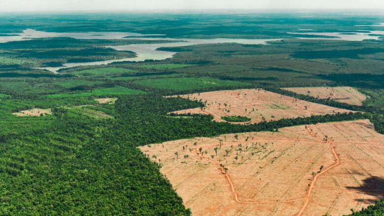 Situação da Amazônia estará em debate no Congresso Brasileiro de Agronomia