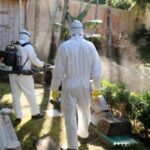 Blumenau decretou situação de emergência pelo aumento dos casos de dengue