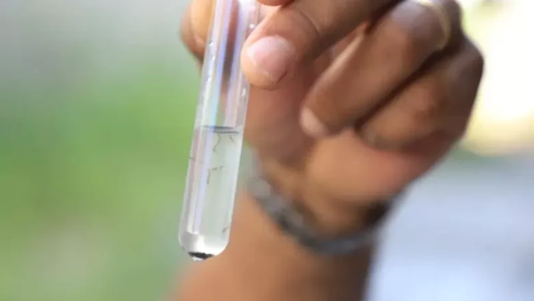 Casos de dengue mais que dobram no Brasil e avançam em áreas menos imunizadas