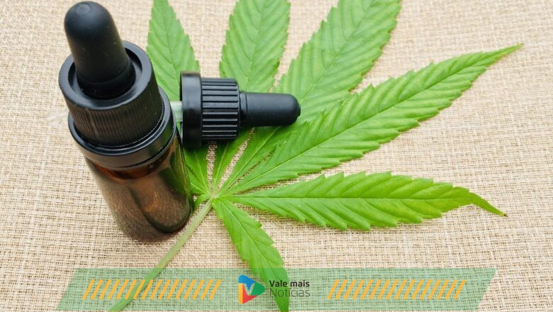 Primeiro serviço de saúde por assinatura focado em terapia à base de cannabis é lançado no Brasil