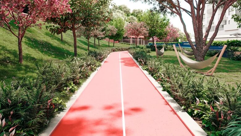 Programa Guardião e Parque Camboriú irão plantar mil mudas de árvores em Camboriú