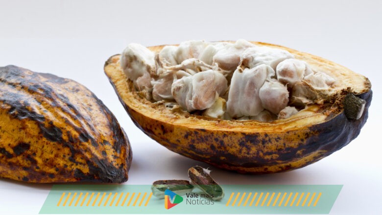 Chocolate pode? Nutricionista dá dicas para uma Páscoa sem culpa