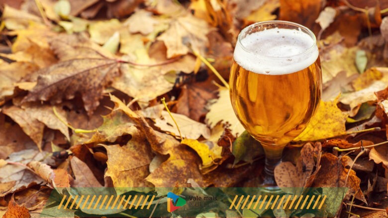 Outono: descubra quais são as cervejas mais indicadas para esse período do ano e como harmonizar com pratos típicos dessa estação