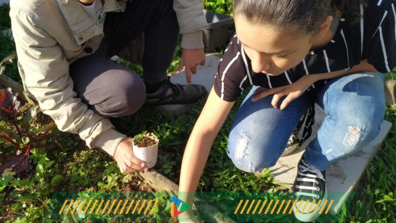 Programação Junho Verde em Pomerode