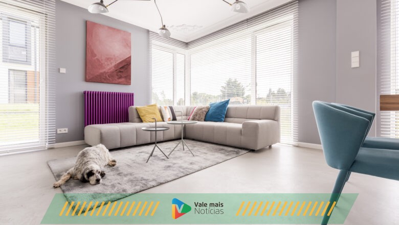 Pets em apartamento: confira dicas para ter um ambiente pet friendly