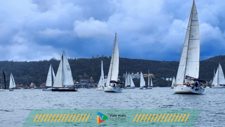 Corrida no mar: veleiros disputam regata ao redor da Ilha de Porto Belo neste sábado