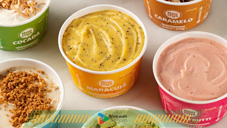 De duas vendas por mês para 70 litros por dia: como microempresária transformou sorvete artesanal vegano em queridinho dos consumidores