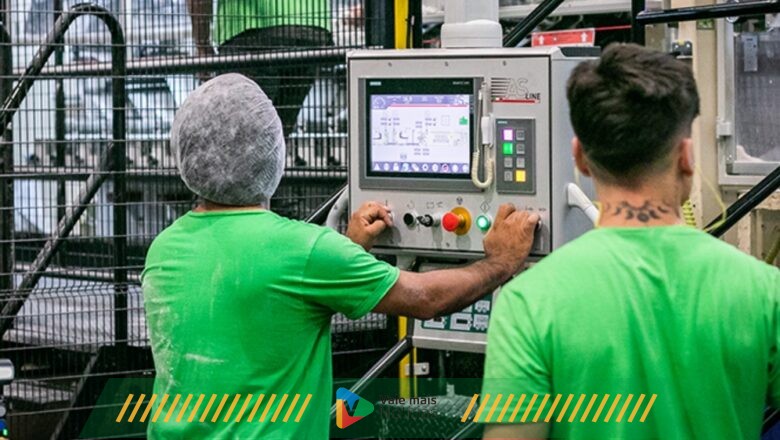 Ipel abre vaga para gerente de marketing e mais de 20 outras ocupações