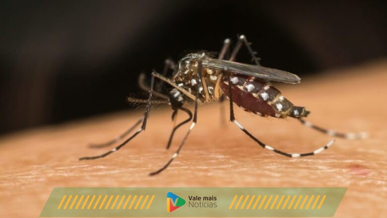 Sintomas da dengue, o que é a hemorrágica e o tratamento para a doença