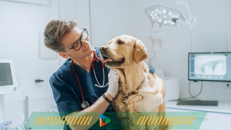 Médicos-veterinários se unem em prol do desenvolvimento da profissão, da saúde e do bem-estar animal