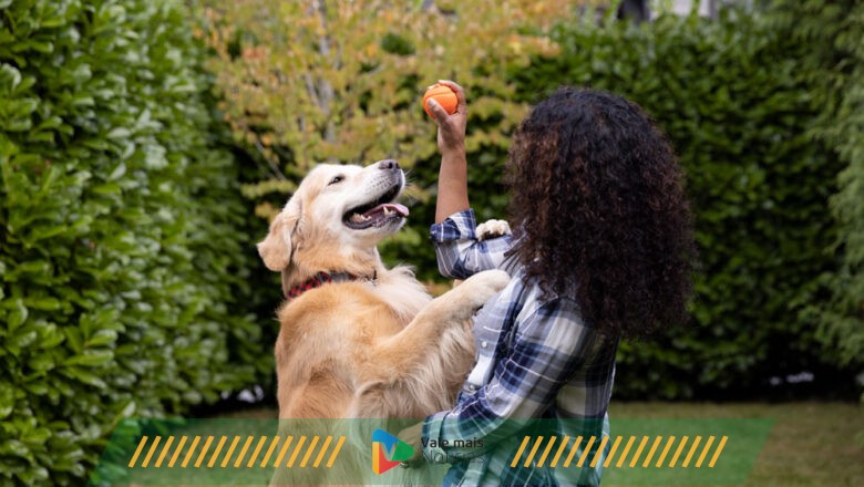 No envelhecimento de cães e gatos, a alimentação faz total diferença na prevenção e no tratamento das doença renais crônicas
