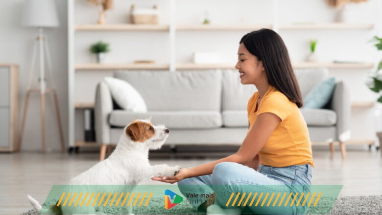 5 dicas para uma boa convivência com cachorro em apartamento