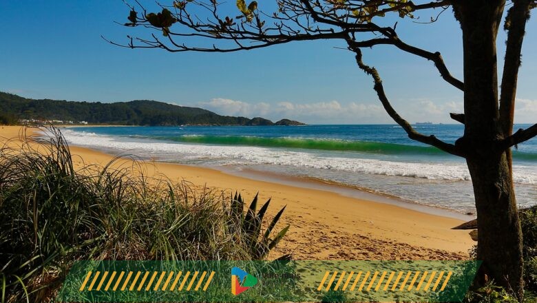 Com alto potencial de valorização imobiliária, Balneário Camboriú tem bairro que é refúgio em meio à natureza
