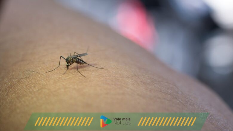 Indicação de Ivermectina nas redes sociais para tratamento contra a dengue fazem procura por medicamento subir 44%