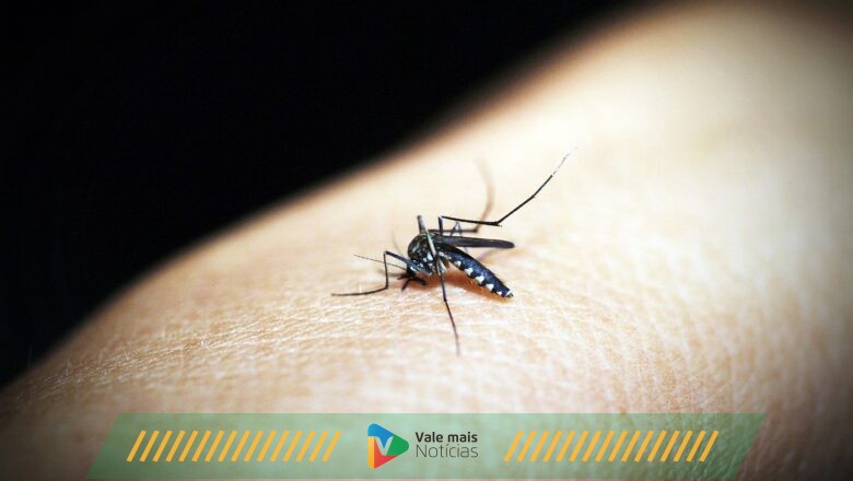 Brasil enfrenta desafio da dengue: vacinação em massa é implementada para conter surto