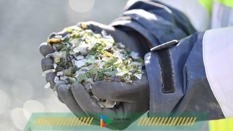 Campanha Vidro Solidário: reciclagem de vidro vira doação a Banco de Alimentos de Santa Catarina