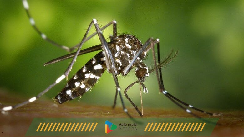 Aumento de Casos de Dengue e Desinformação: A Importância da Vacinação e Cuidados Preventivos
