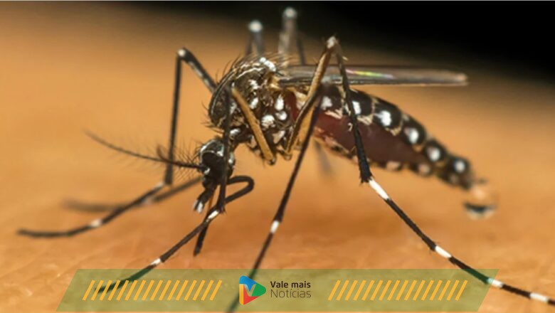 Primeiro repelente do mundo para roupas, tecidos e superfícies é brasileiro e mata o mosquito da dengue em segundos