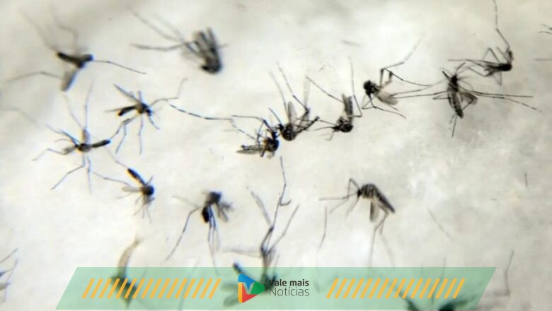 Casos prováveis de dengue aumentam 387% em 2024 em Santa Catarina