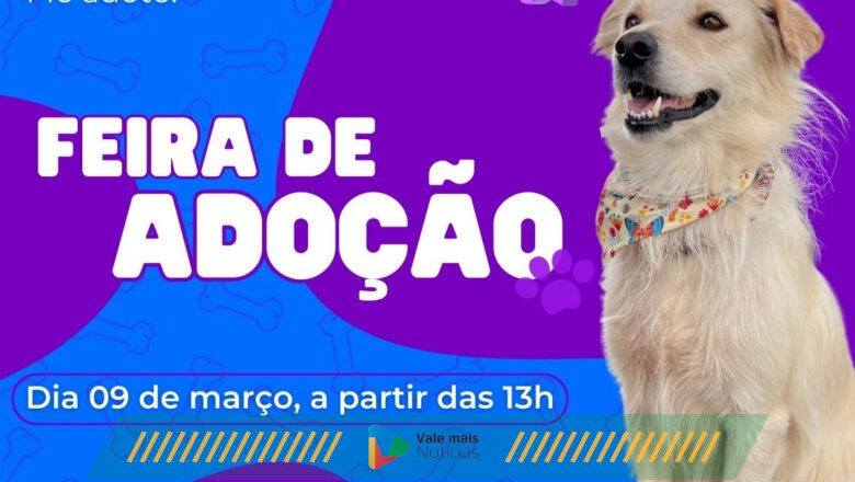 Shopping de Blumenau recebe feira de adoção de cães neste sábado (09)