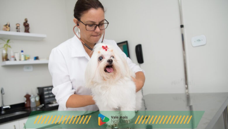 5 dicas para evitar doenças gastrointestinais em pets
