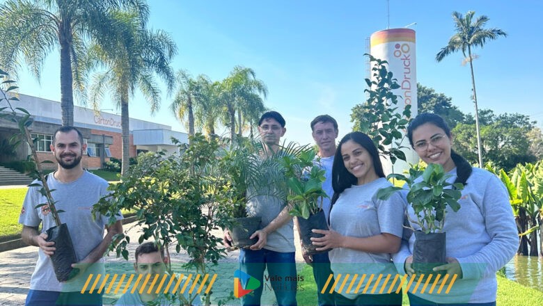 Mês do Meio Ambiente: empresa de Blumenau distribui mudas de árvores entre os colaboradores