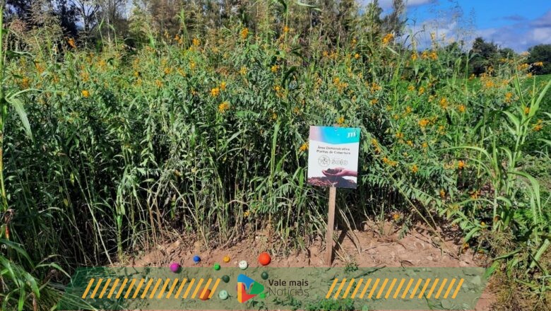 Dia da Agricultura Familiar: conheça programas de incentivos a produtores rurais
