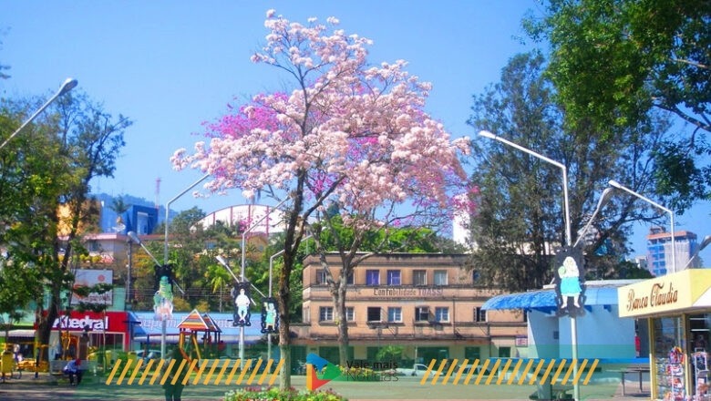 Nas vésperas da inauguração da primeira loja na cidade, Fort Atacadista promove “Dia da Família” na Praça Central de Rio do Sul