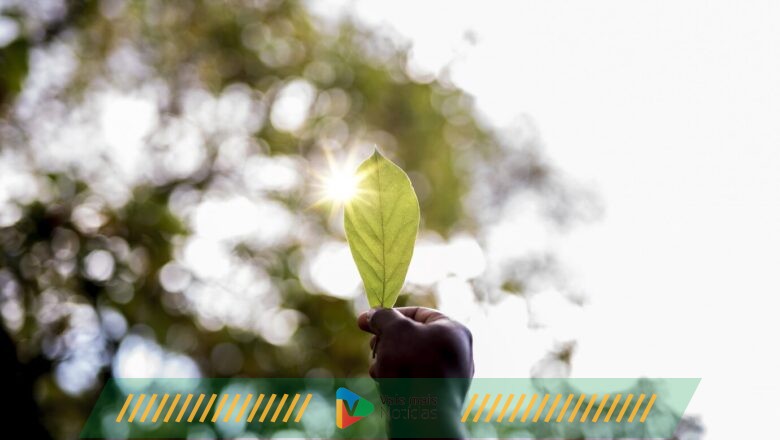 Preciso ter uma área de Sustentabilidade na minha empresa?