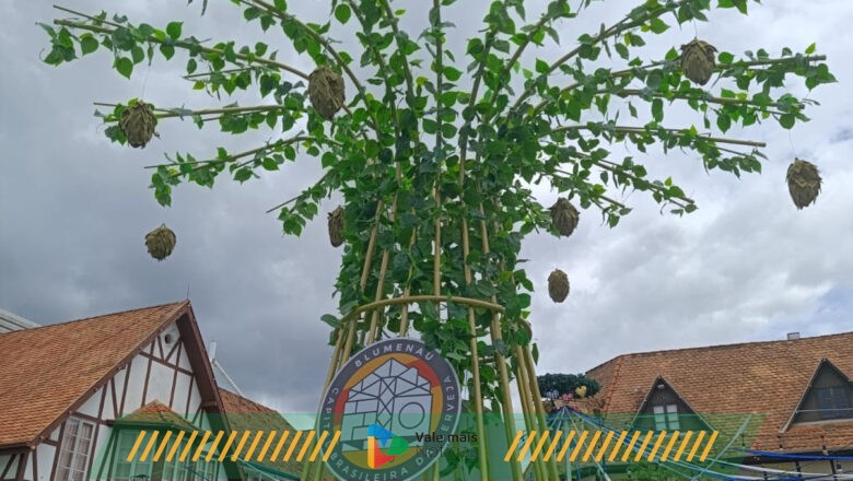 Parque Vila Germânica, em Blumenau (SC), começa a receber decoração temática do Festival Brasileiro da Cerveja