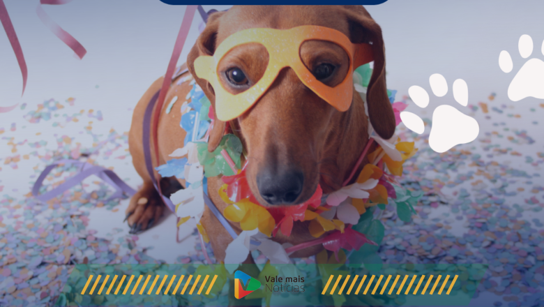 CDL Jovem Conexões realiza Cãominhada em Indaial com concurso de fantasias para pets neste sábado