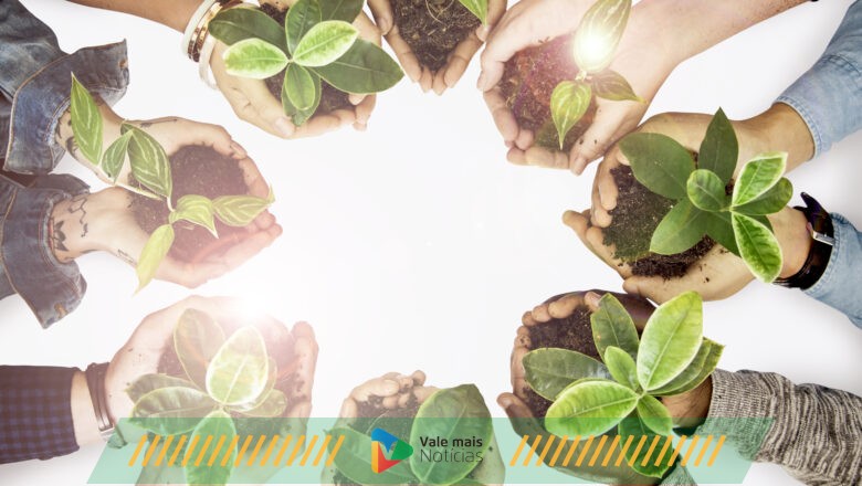Sustentabilidade no cooperativismo: um pilar para o crescimento e a competitividade