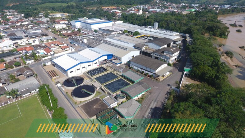 “Mundo Sustentável”: como a Brandili integra sustentabilidade à sua estratégia corporativa 