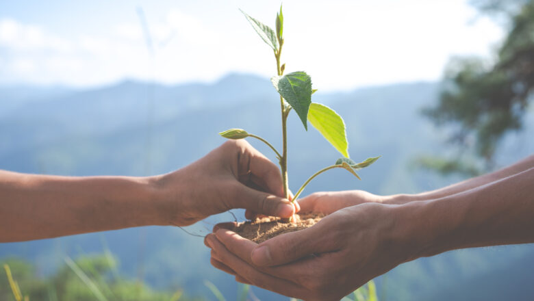 Sustentabilidade: modismo ou necessidade?