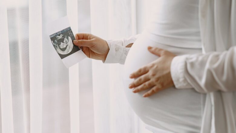 Gestação e Alfabetização: Entenda a interconexão para o desenvolvimento do aluno
