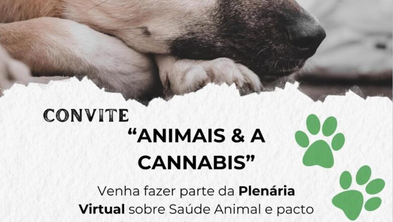Em meio à violência aos animais em SC, Pedro Santa Cannabis convoca protetores e veterinários na próxima segunda