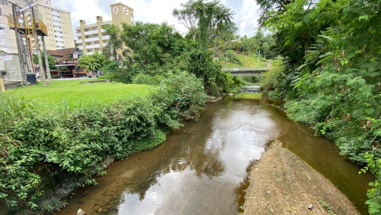 Dia Mundial da Água | Saneamento transforma a qualidade da água em Blumenau 