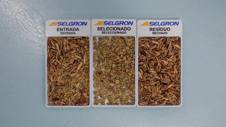 Inteligência artificial impulsiona o Agro 5.0 e eleva padrões de qualidade na seleção de grãos