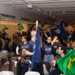 Imobiliária pinta Floripa com mais de mil placas verdes e amarelas em campanha inspirada na Copa do Mundo 