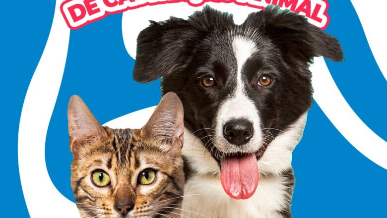 Mutirão de Castração de Cães e Gatos acontece em Indaial no domingo (14)